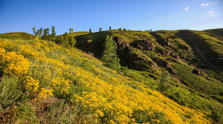 Almaty Fun and Sun 1